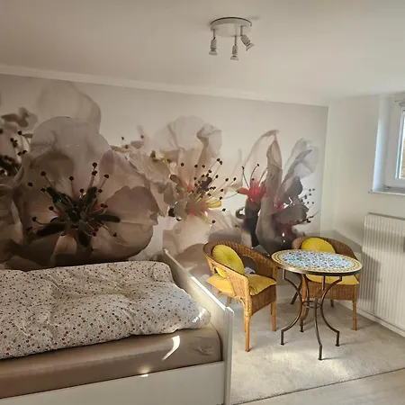 2 Zimmer-einliegerwohnung Am Flughafen Schoenefeld Апартаменты Берлин